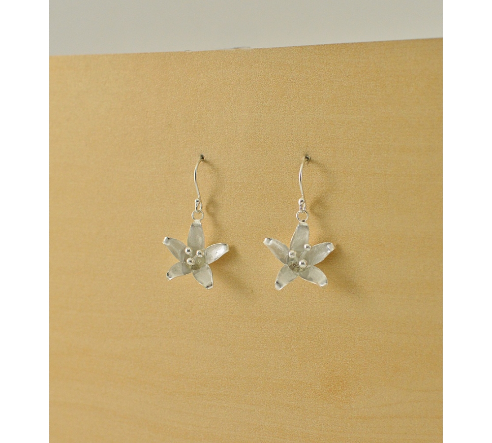 S0352 Plain Silver Earring S0352 Plain Silver Earring